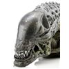 Image 6 : AVPR: ALIENS VS. PREDATOR: REQUIEM (2007) - Xenomorph SFX Head
