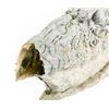 Image 2 : DARK CRYSTAL, THE (1982) - Scientist Skeksis Head Cast