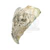 Image 8 : DARK CRYSTAL, THE (1982) - Garthim Master Skeksis Head Cast