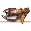 Image 8 : GREMLINS 2: THE NEW BATCH (1990) - Brown Gremlin Puppet