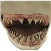 Image 2 : JAWS: THE REVENGE (1987) - Full-size Shark Replica