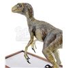 Image 7 : JURASSIC PARK (1993) - Steven Spielberg ILM Velociraptor Model Crew Gift