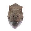 Image 16 : JURASSIC PARK (1993) - Stan Winston Studio Tyrannosaurus Rex Paint-Test Head