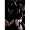 Image 10 : JURASSIC WORLD: FALLEN KINGDOM (2018) - Mounted 5-Foot Tyrannosaurus Rex Skull