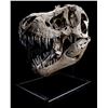 Image 3 : JURASSIC WORLD: FALLEN KINGDOM (2018) - Mounted 5-Foot Tyrannosaurus Rex Skull