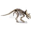 Image 1 : JURASSIC WORLD: FALLEN KINGDOM (2018) - Diorama Room 15-foot Kosmoceratops Skeleton