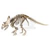 Image 3 : JURASSIC WORLD: FALLEN KINGDOM (2018) - Diorama Room 15-foot Kosmoceratops Skeleton