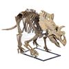 Image 4 : JURASSIC WORLD: FALLEN KINGDOM (2018) - Diorama Room 15-foot Kosmoceratops Skeleton