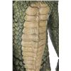 Image 3 : LAND OF THE LOST (2009) - Sleestak Creature Costume