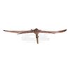 Image 10 : LAND THAT TIME FORGOT, THE (1974) - Special Effects Pterodactyl