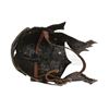Image 2 : LORD OF THE RINGS, THE (2001-2003) - Uruk-Hai Orc Helmet