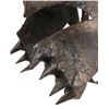 Image 3 : LORD OF THE RINGS, THE (2001-2003) - Uruk-Hai Orc Helmet
