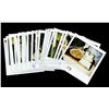 Image 6 : MRS. DOUBTFIRE (1993) - Continuity Polaroids Featuring Robin Williams
