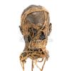 Image 12 : MUMMY, THE (1999) - Special Effects Mummy Mask