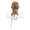 Image 1 : MUMMY, THE (1999) - Special Effects Mummy Mask