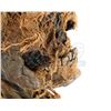 Image 2 : MUMMY, THE (1999) - Special Effects Mummy Mask