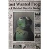 Image 11 : MUPPETS MOST WANTED (2014) - Pair of Newspapers