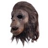 Image 3 : BENEATH THE PLANET OF THE APES (1970) - Background Chimp Mask
