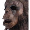 Image 5 : BENEATH THE PLANET OF THE APES (1970) - Background Chimp Mask