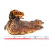 Image 11 : PREDATOR 2 - Predator Creature Feet