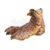 Image 12 : PREDATOR 2 - Predator Creature Feet