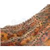 Image 13 : PREDATOR 2 - Predator Creature Feet