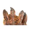Image 2 : PREDATOR 2 - Predator Creature Feet