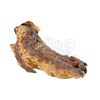 Image 3 : PREDATOR 2 - Predator Creature Feet