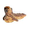 Image 8 : PREDATOR 2 - Predator Creature Feet