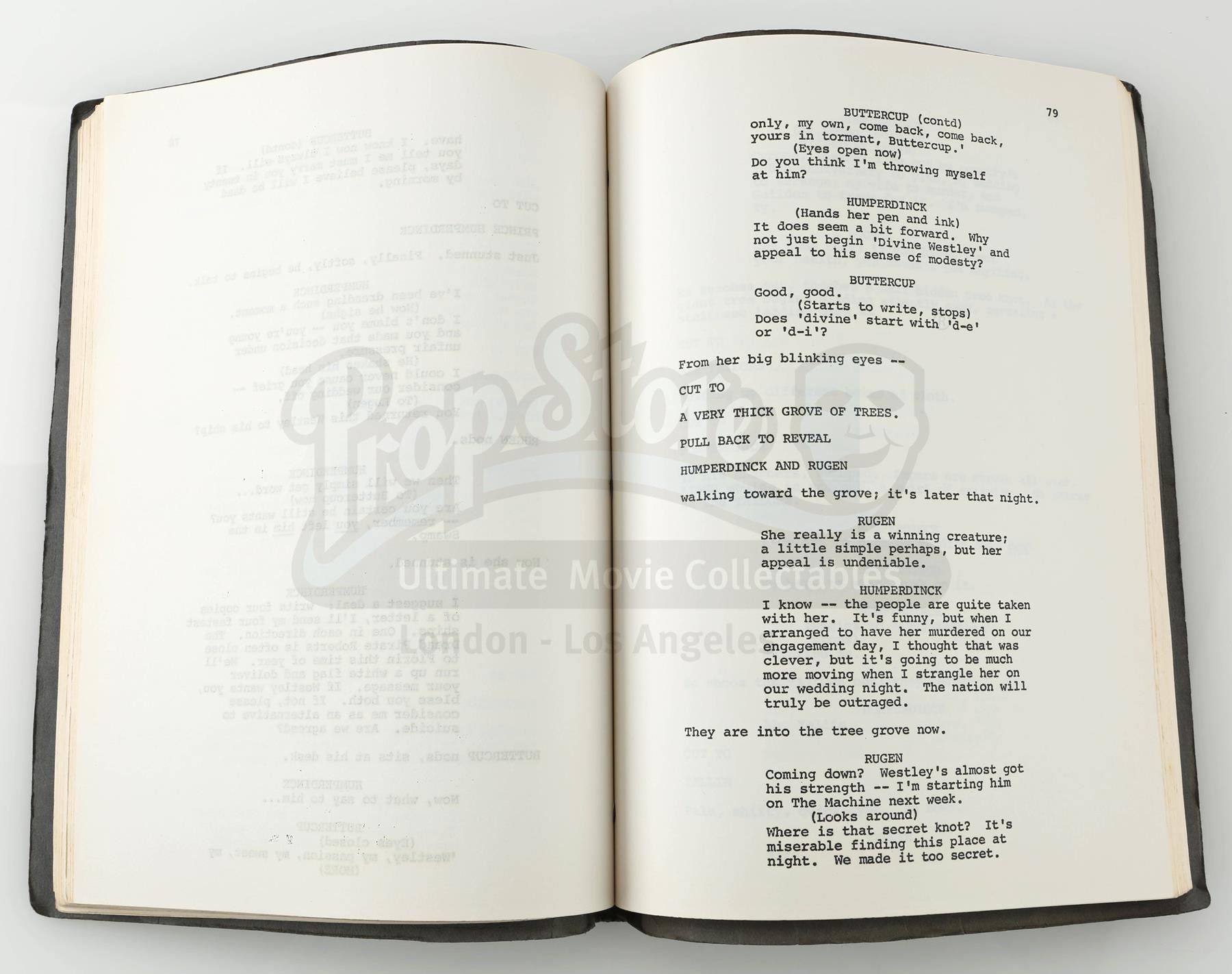 PRINCESS BRIDE, THE (1987) - Shooting Script