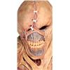 Image 8 : RESIDENT EVIL: APOCALYPSE (2004) - The Nemesis’ (Matthew G. Taylor) Costume and Prosthetics