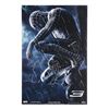 Image 1 : SPIDER-MAN 3 (2007) - Cast-Autographed Poster
