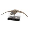 Image 1 : STAR TREK: DEEP SPACE NINE (TV SERIES 1993-1999) - Light-Up Bajoran Interceptor Miniature Model