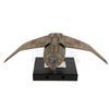 Image 2 : STAR TREK: DEEP SPACE NINE (TV SERIES 1993-1999) - Light-Up Bajoran Interceptor Miniature Model