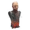 Image 11 : STAR WARS: REVENGE OF THE SITH (2005) - Anakin Skywalker (Hayden Christensen) Replica Mustafar Make-