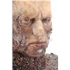 Image 2 : STAR WARS: REVENGE OF THE SITH (2005) - Anakin Skywalker (Hayden Christensen) Replica Mustafar Make-