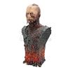 Image 8 : STAR WARS: REVENGE OF THE SITH (2005) - Anakin Skywalker (Hayden Christensen) Replica Mustafar Make-