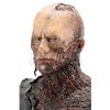 Image 9 : STAR WARS: REVENGE OF THE SITH (2005) - Anakin Skywalker (Hayden Christensen) Replica Mustafar Make-