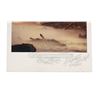 Image 5 : STAR WARS: THE EMPIRE STRIKES BACK (1980) - On Set Polaroids Featuring Luke and R2-D2 on Dagobah