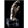 Image 8 : STAR WARS: THE EMPIRE STRIKES BACK (1980) - C-3PO's (Anthony Daniels) Hand