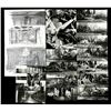 Image 1 : STAR WARS: RETURN OF THE JEDI (1983) - Dagobah and Imperial Landing Platform Set Concept Model Photo