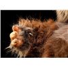 Image 7 : STAR WARS: RETURN OF THE JEDI (1983) - Child Ewok Puppet