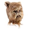 Image 1 : STAR WARS: RETURN OF THE JEDI (1983) - Ewok (John Pedrick) Mask
