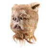 Image 4 : STAR WARS: RETURN OF THE JEDI (1983) - Ewok (John Pedrick) Mask