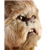 Image 6 : STAR WARS: RETURN OF THE JEDI (1983) - Ewok (John Pedrick) Mask