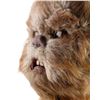 Image 7 : STAR WARS: RETURN OF THE JEDI (1983) - Ewok (John Pedrick) Mask