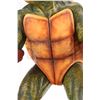 Image 13 : TEENAGE MUTANT NINJA TURTLES - Leonardo Art Department Maquette