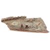Image 4 : TITANIC (1997) - Model Miniature Wrecked Bow Section
