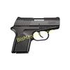 Image 1 : REM RM380 MICRO 380ACP 2.9" 6RD BLK