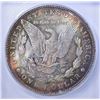Image 3 : 1881 MORGAN DOLLAR, ICG MS-66